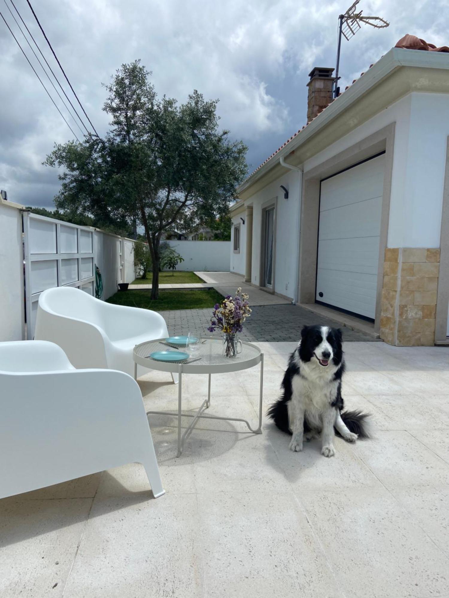 אלקובאקה Charming Villa With Private Poll מראה חיצוני תמונה
